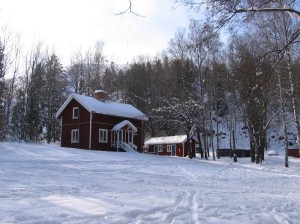 HuisjesneeuwZwedenkleiner